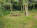 Woodland area with pitch