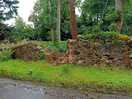 Scenery on the way to edzell.