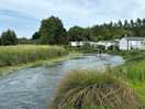 Stream running through