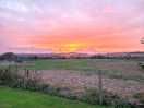 Across the fields