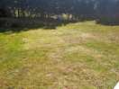 Leave no trace....