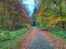 Walk to castle