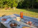 Communal picnic and firepit area