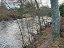 Nice and level, lovely view, right beside the river earn
