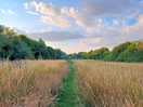 Beautiful walks