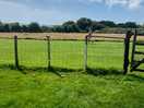 Fenced plot to keep the pups contained.