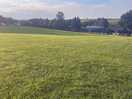 Family camping field