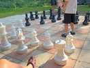 Chess game for use