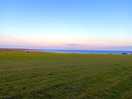 Camp field