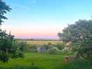 Evening light.