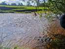 River eden