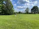 Large field
