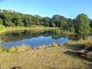 The little lake