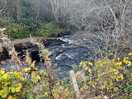 Stream
