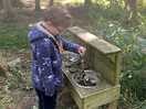 Making tea