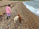 Beach was 5 mins away