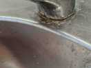 Taps