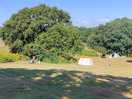 The site