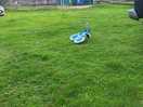 How close the pitches are to the petting farm!