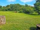 Lovely open area
