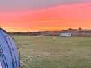 Pink skies