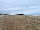 The beach