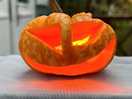 Woodpecker shepherds hut | pumpkin