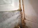 Ladies showers