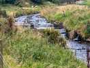 The stream that’s running through the site.