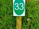 Nine acres pitch number 33
