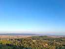 Blick