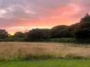 Sunsets