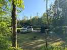 Woodland campervan pitch