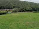 Large field