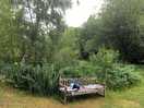 Nice place for contemplation