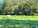 Pony field