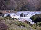 Cenarth falls