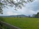 View from pitch