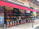 Sarlat le caneda