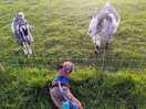 Little eddie meeting the locals