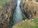 Camino natural