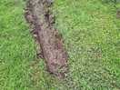 No path/track on site field