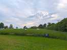 Entrance to main tent field