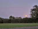 Moonrise over ryelands.