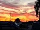 Beautiful sunset