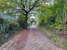 Walk on site to the woodlands