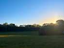 Sunset in the field