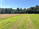 Field view