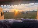 Can't beat sunset and wildlife