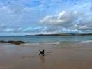 Het strand op enkele minuten lopen van harlyn sands
